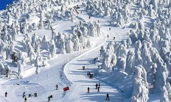 投資滑雪場多少錢