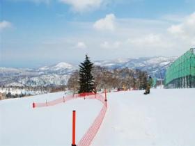 大連(lián)滑雪場(chǎng)投資項目掙錢嗎？