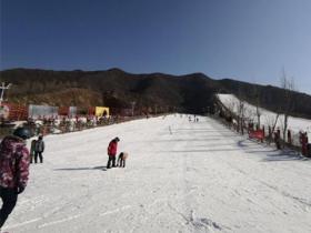 開一家紹興人工滑雪場(chǎng)應該(gāi)找哪家公司合作？