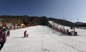 開一家紹興人工滑雪場(chǎng)應該(gāi)找哪家公司合作？