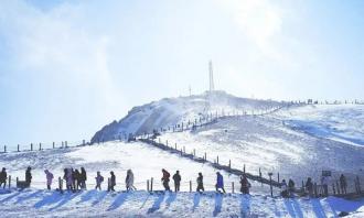 年輕(qīng)人爲何紮堆去吉林滑雪 長(zhǎng)白山本身就是大IP