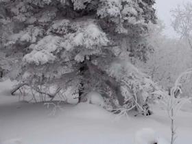 吉林省對(duì)“冰雪絲路”戰略新構(gòu)想